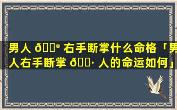 男人 💮 右手断掌什么命格「男人右手断掌 🕷 人的命运如何」